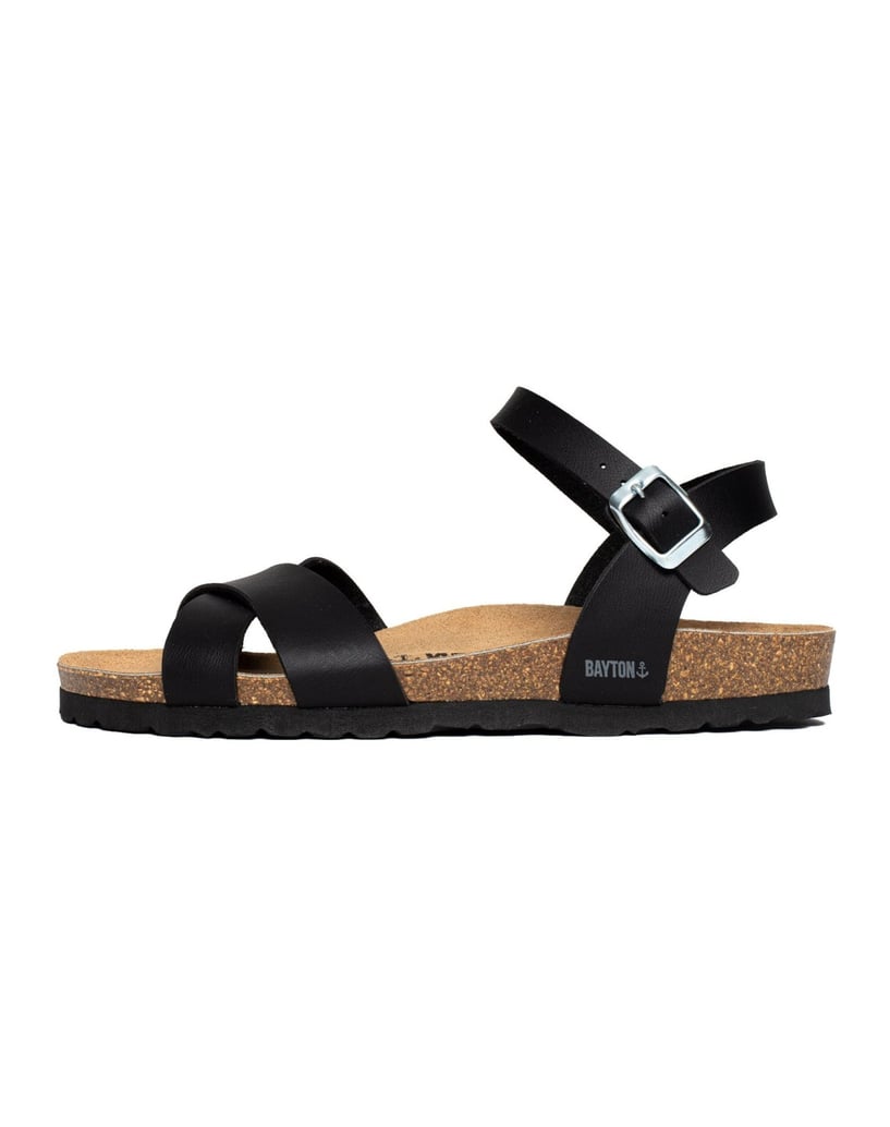 Bayton-Sandales-Vallado-schwarz