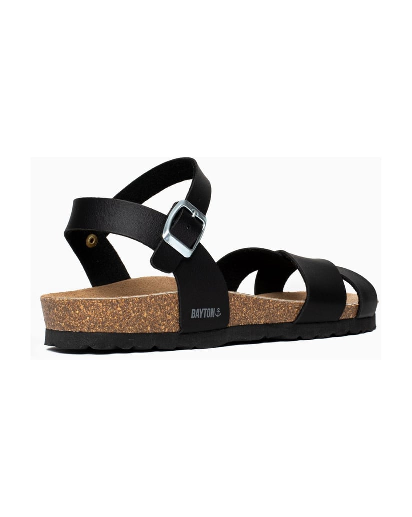 Bayton-Sandales-Vallado-schwarz