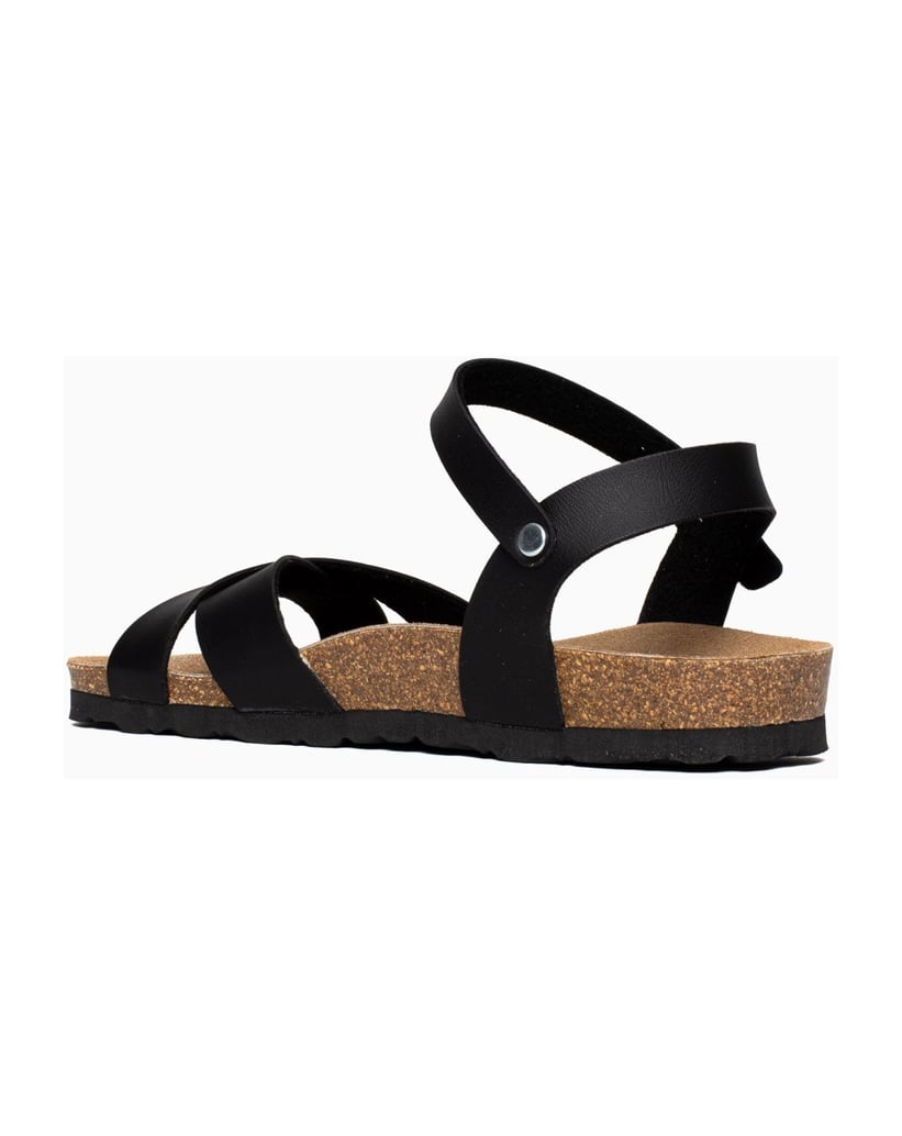Bayton-Sandales-Vallado-schwarz