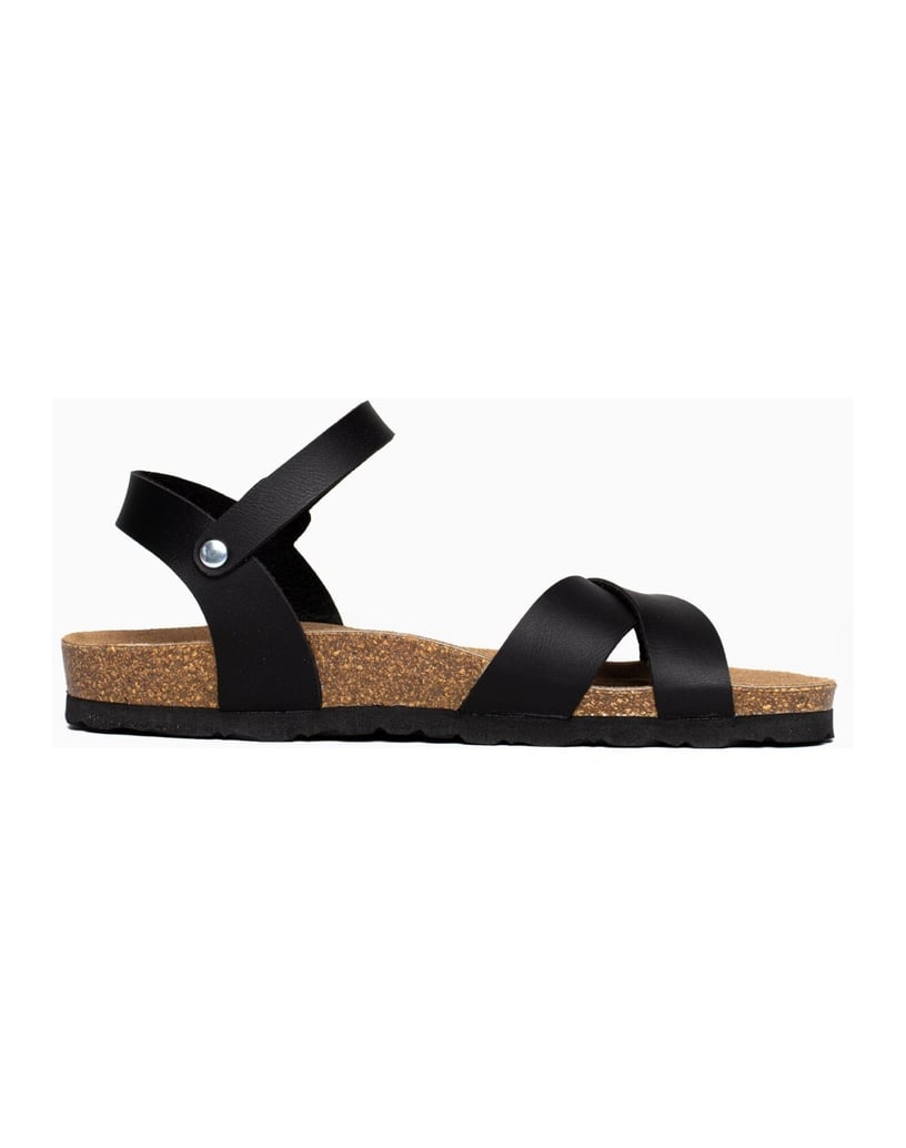 Bayton-Sandales-Vallado-schwarz