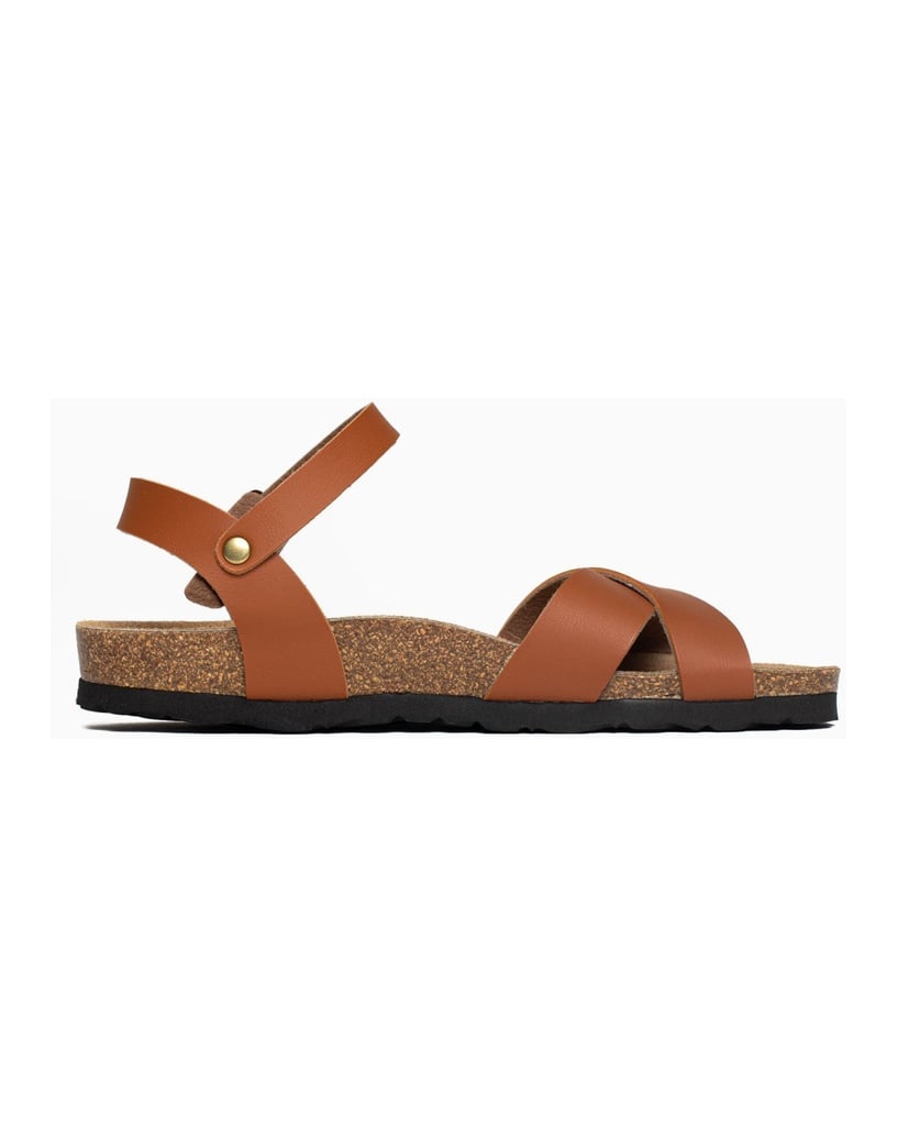 Bayton-Sandales-Vallado-schwarz