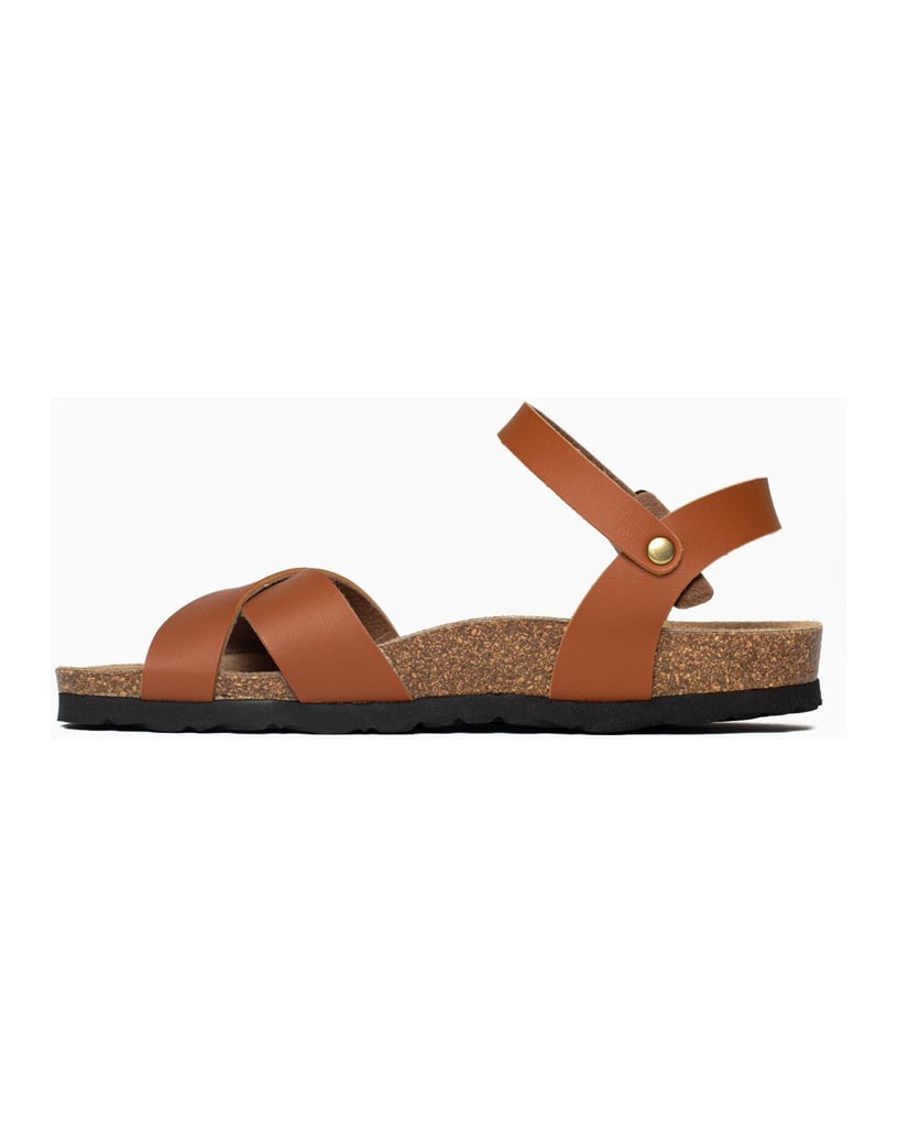 Bayton-Sandales-Vallado-schwarz