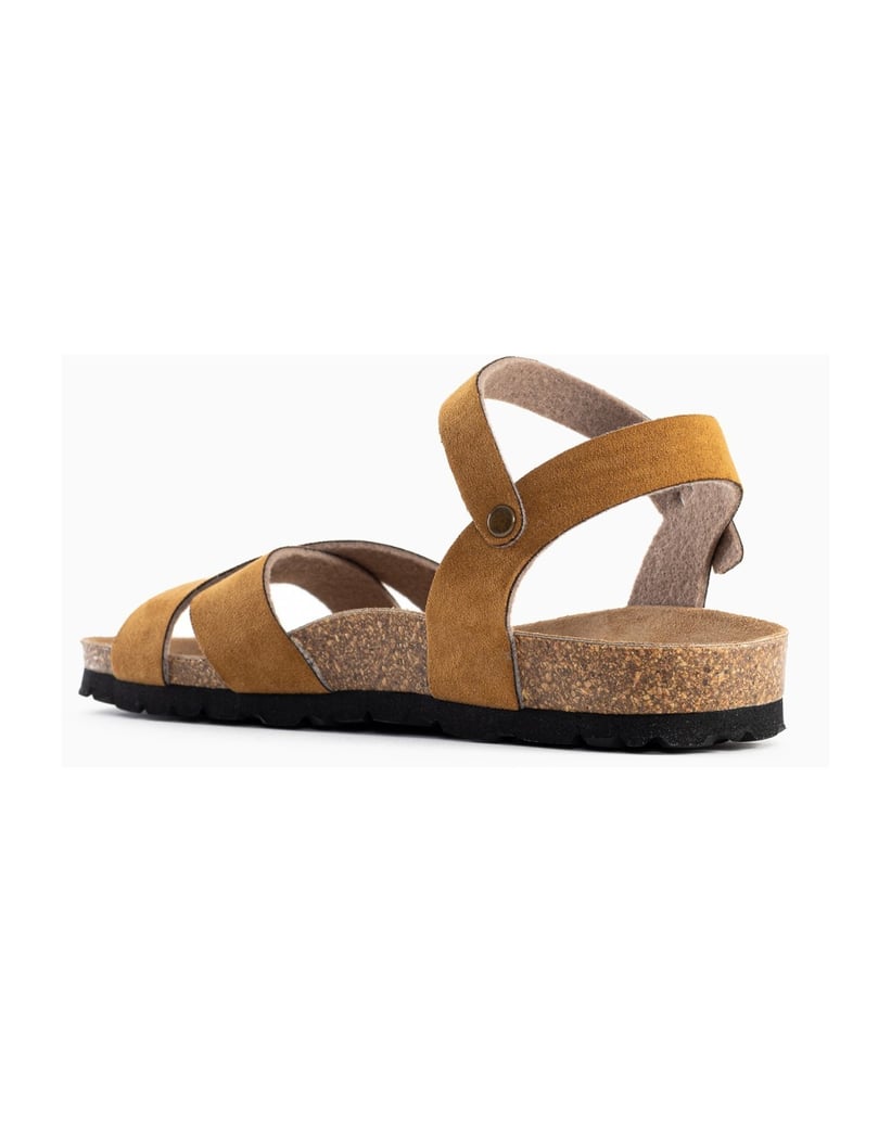 Bayton-Sandales-Vallado-schwarz