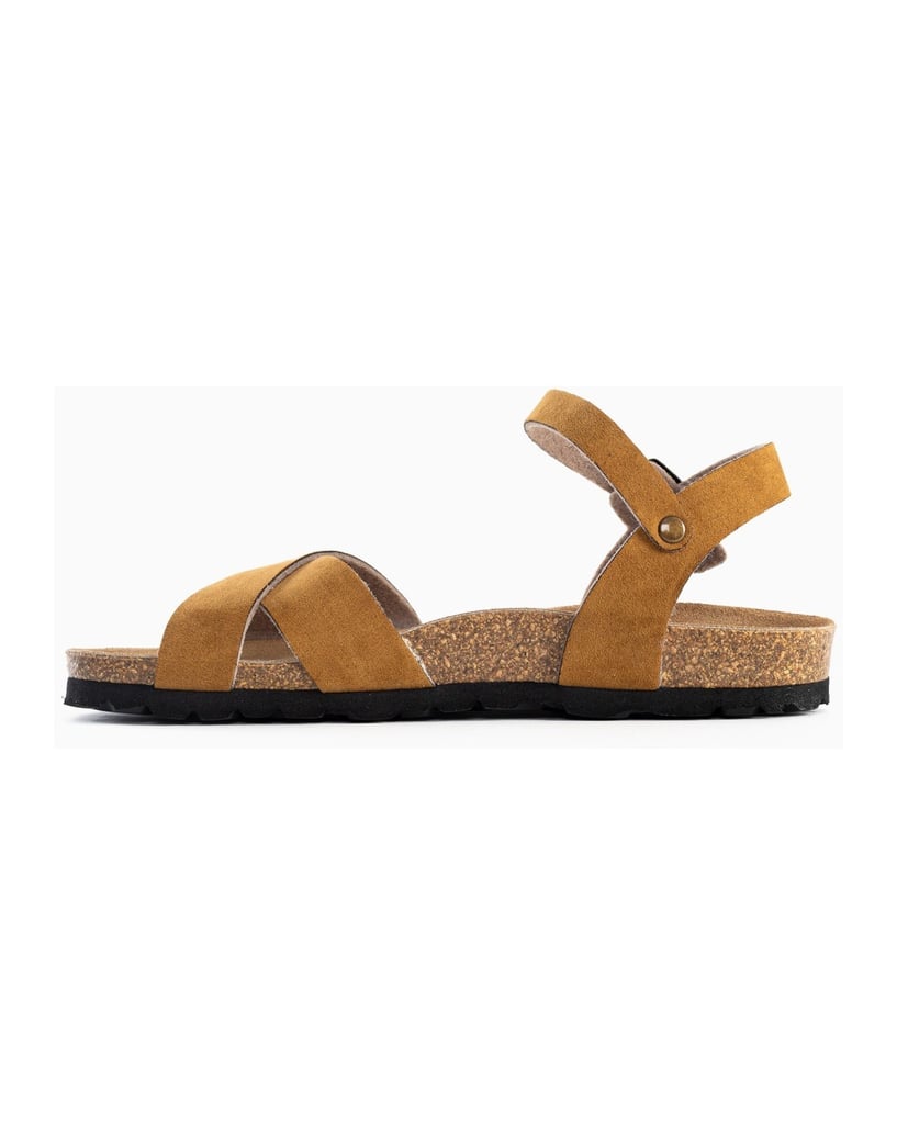 Bayton-Sandales-Vallado-schwarz