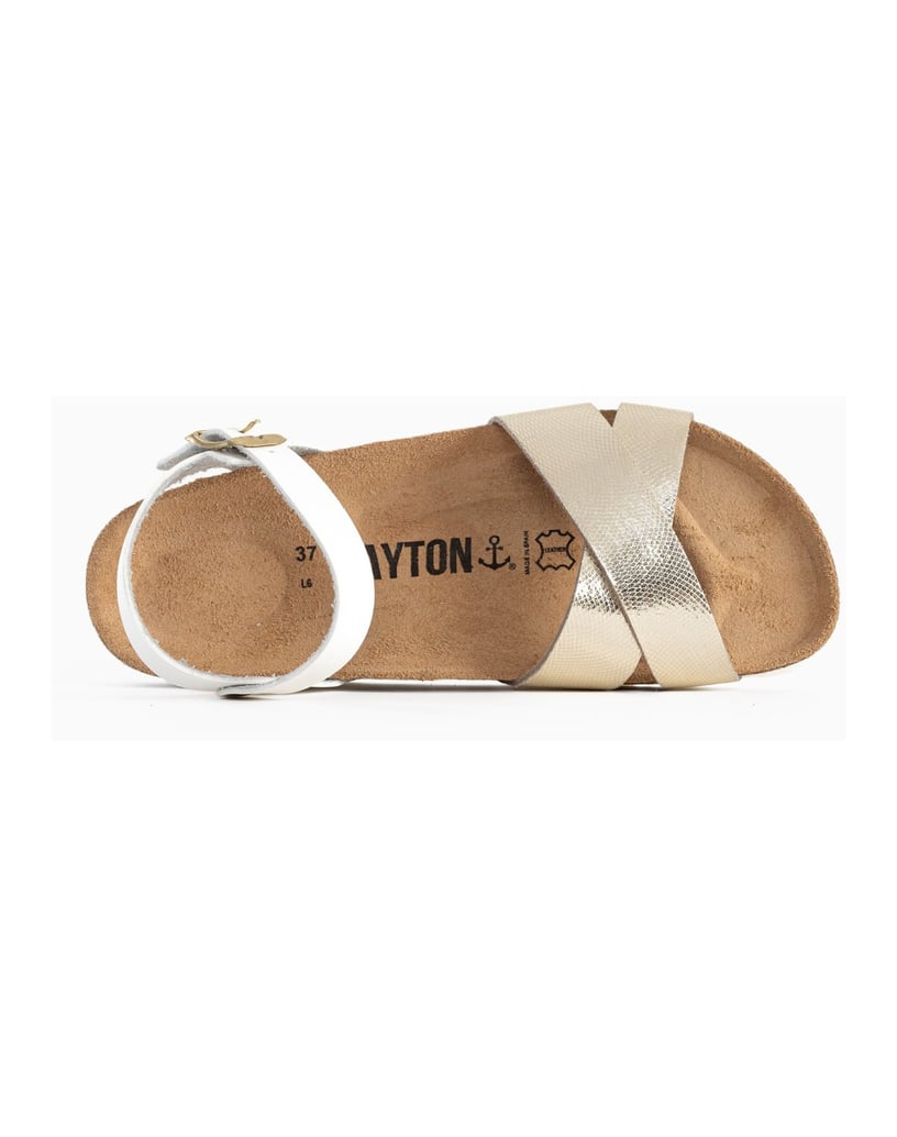 Bayton-Sandales-Vallado-schwarz