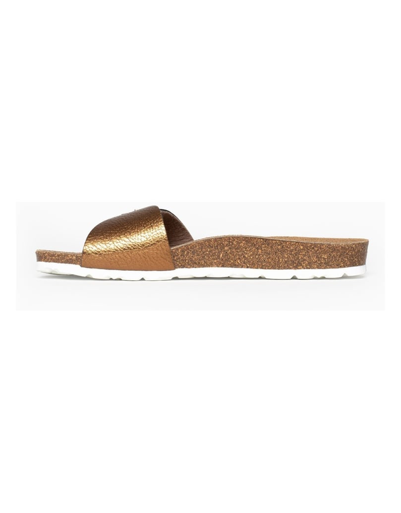 Bayton-Mules-Zamora-camel