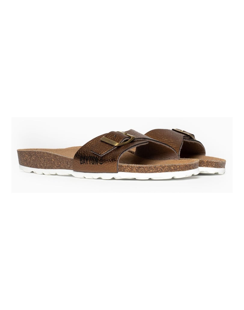 Bayton-Mules-Zamora-camel