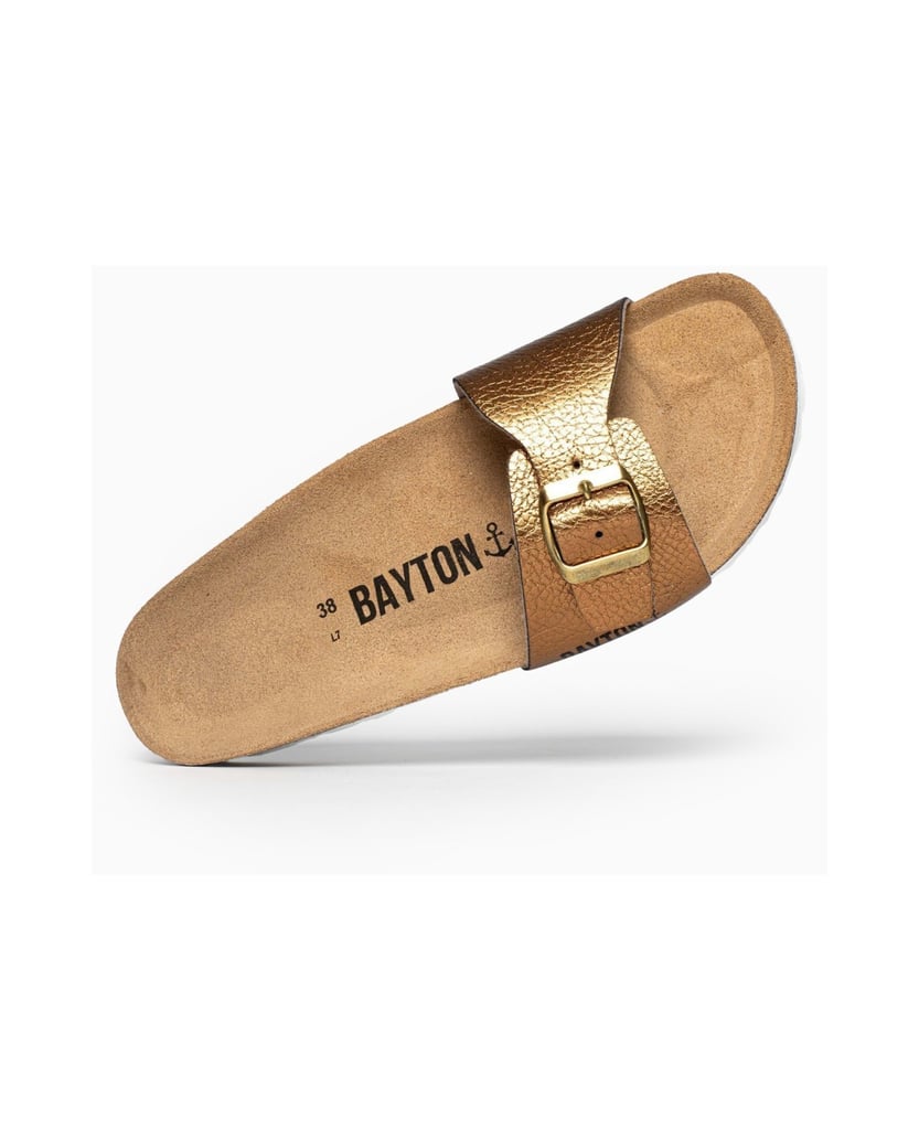 Bayton-Mules-Zamora-camel