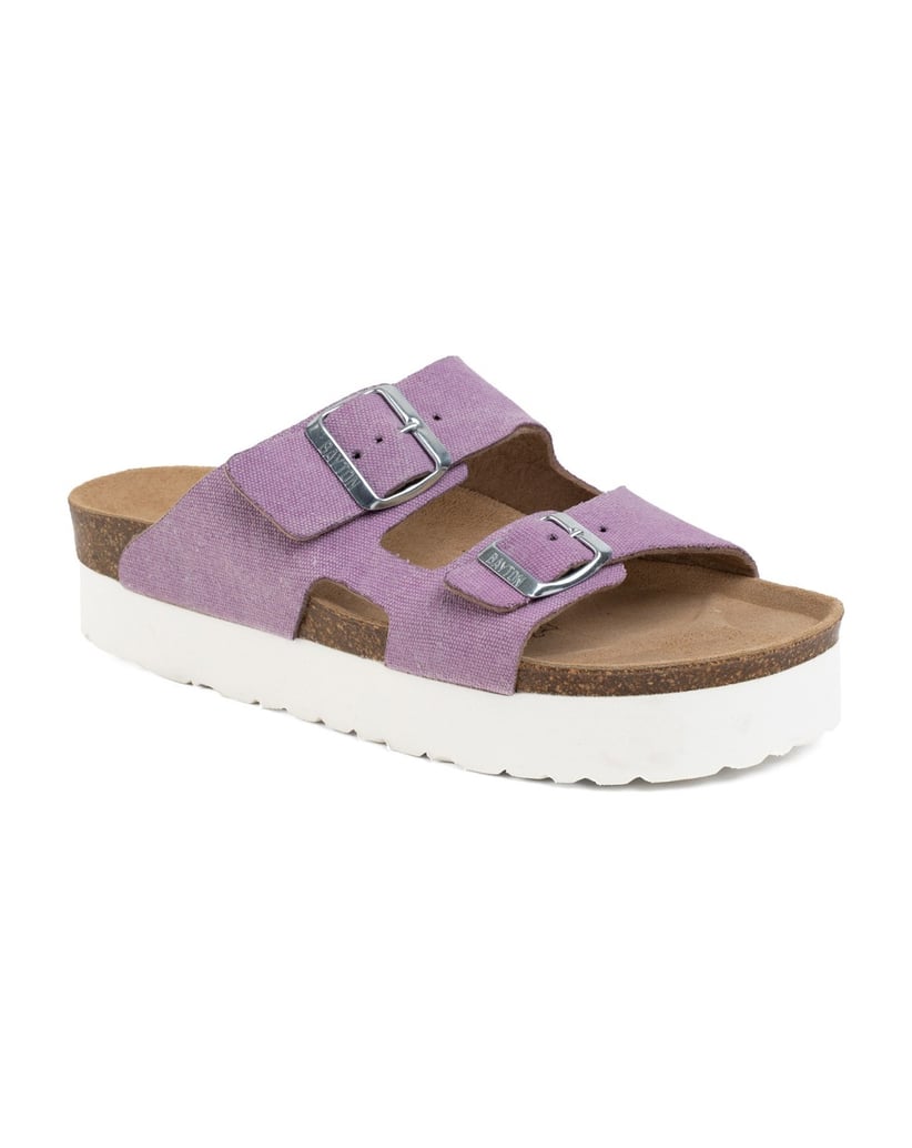 Bayton-Mules-Raum-schwarz