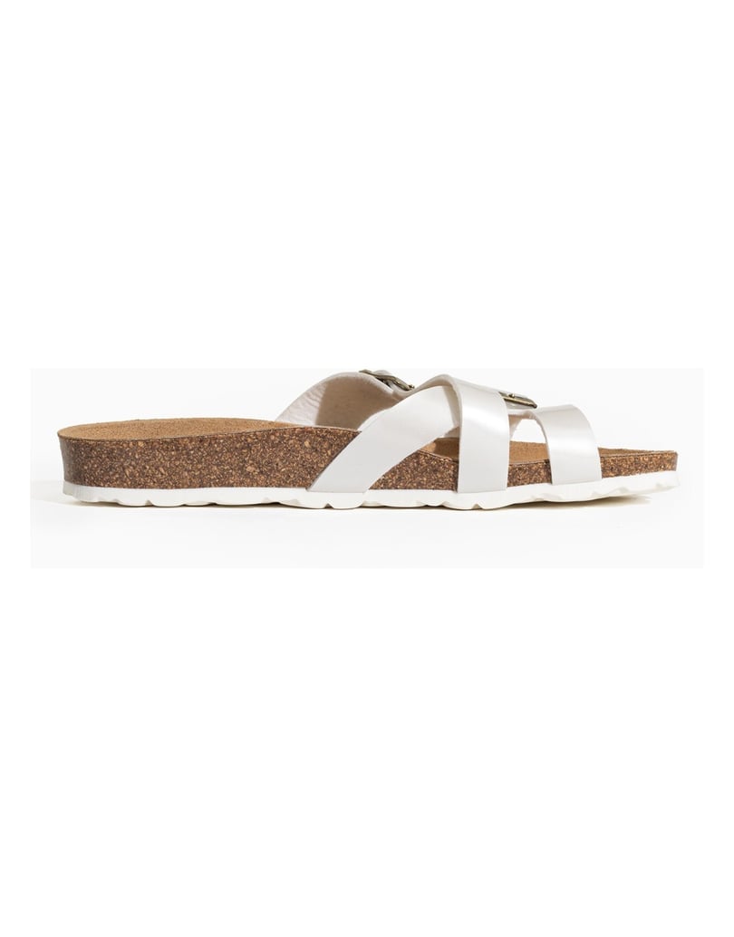 Bayton-Mules-Cleo-schwarz