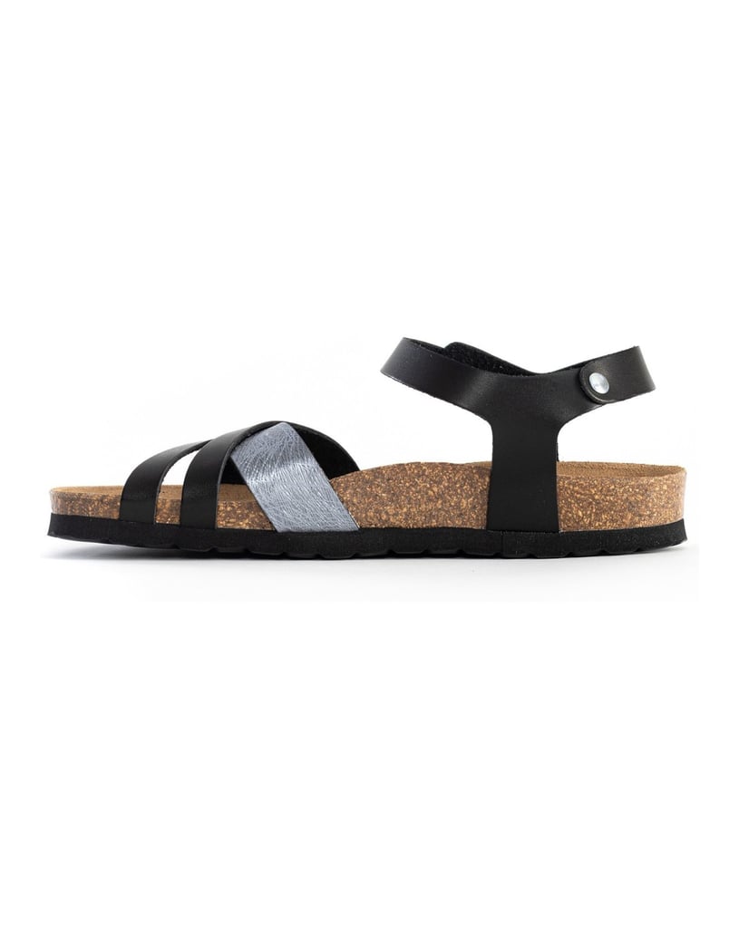 Bayton-Mules-Denia-camel-