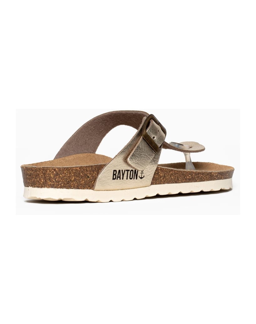 Bayton-Mules-Cordoba-gold