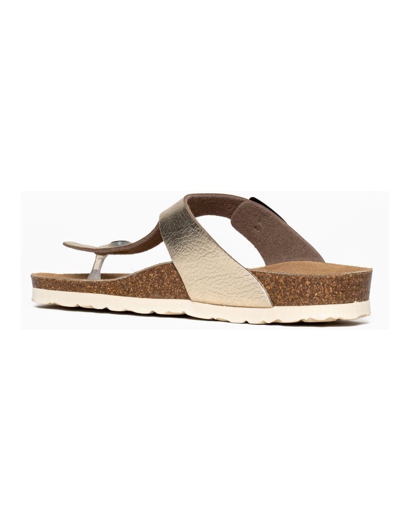 Bayton-Mules-Cordoba-gold