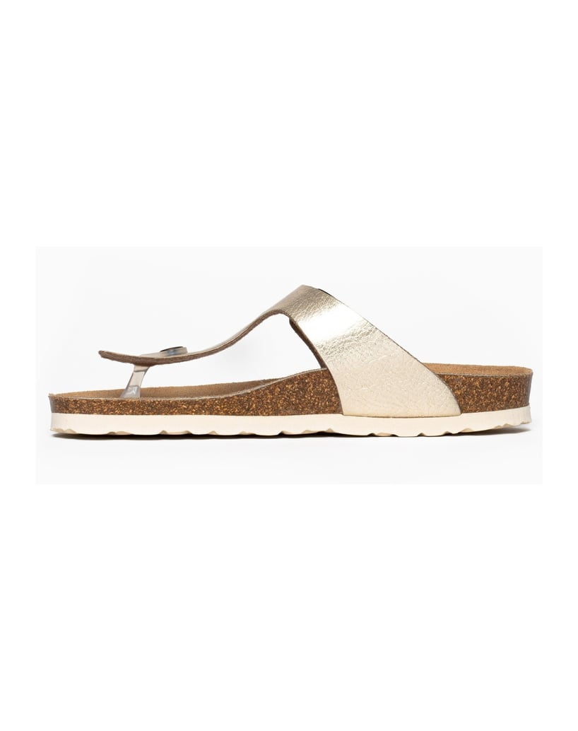 Bayton-Mules-Cordoba-gold