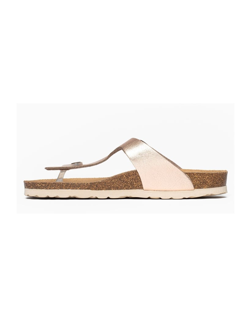 Bayton-Mules-Cordoba-gold