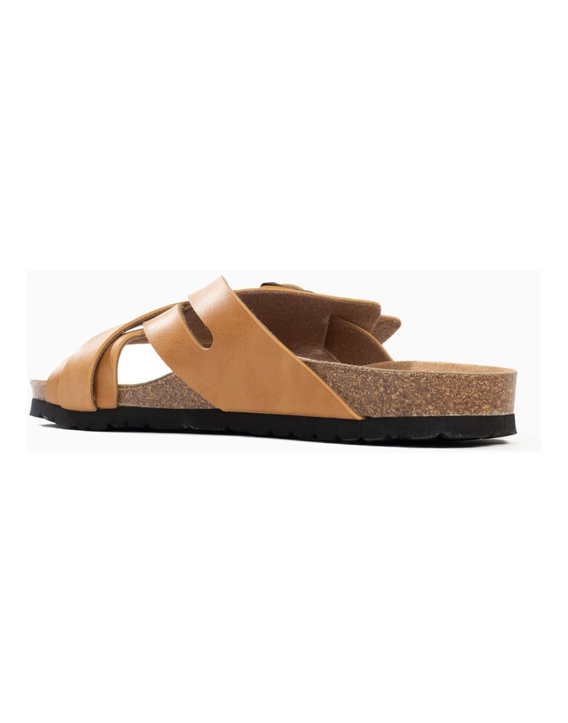 Bayton-Mules-men-RIETI-camel-