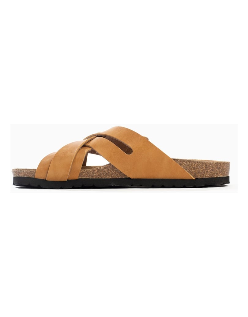 Bayton-Mules-men-RIETI-camel-