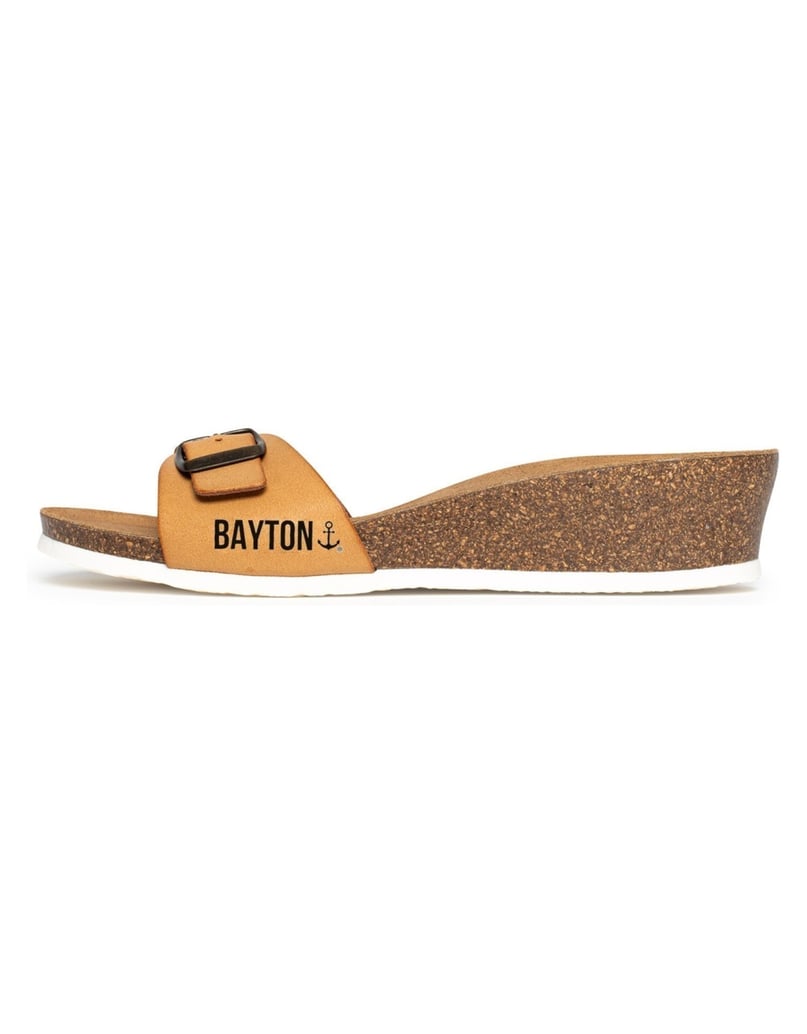 Bayton-Mules-Zorga-camel-