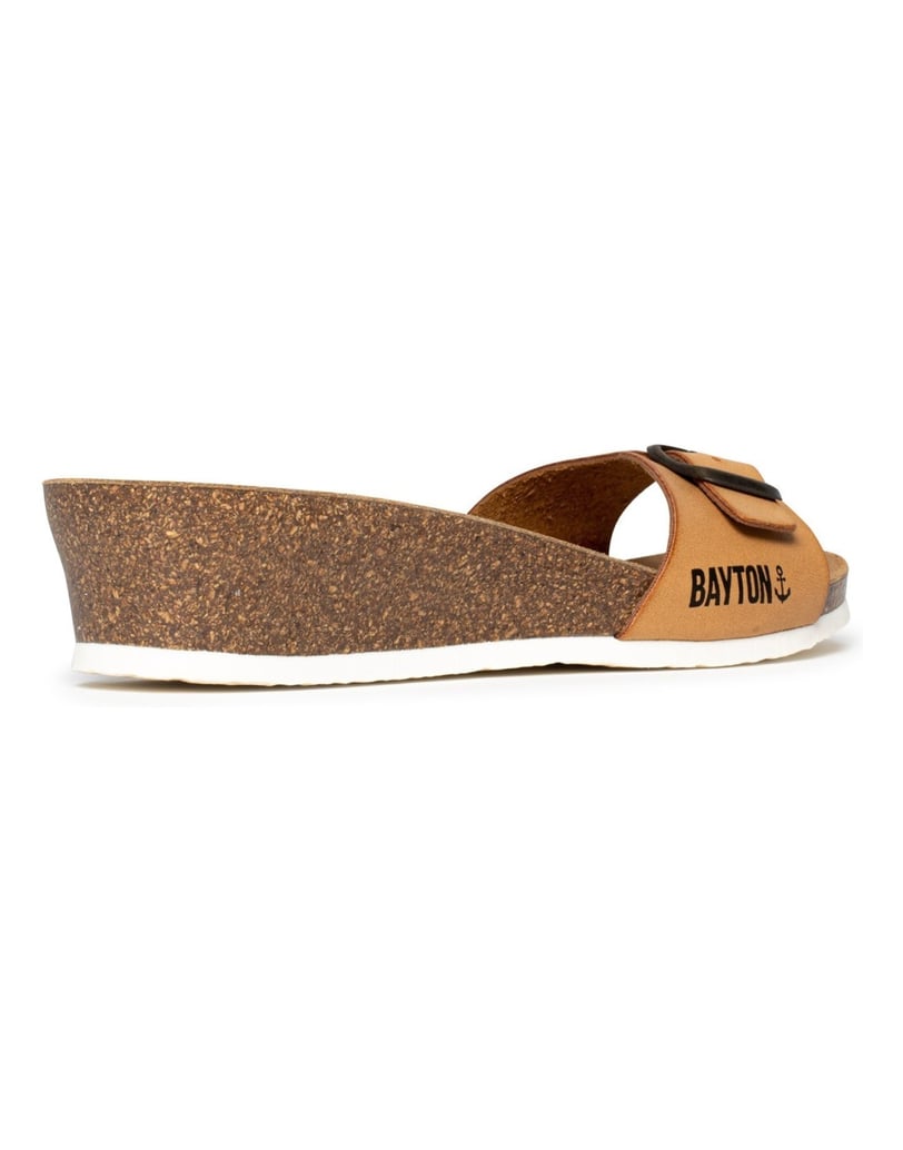 Bayton-Mules-Zorga-camel-