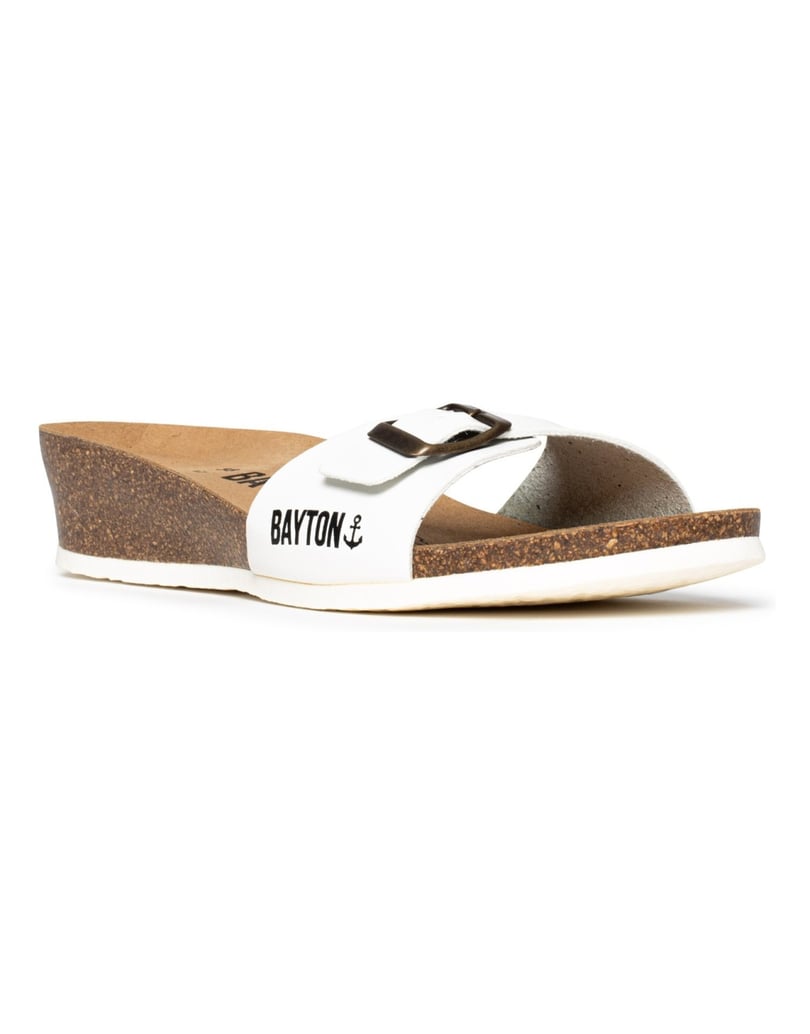 Bayton-Mules-Zorga-camel-
