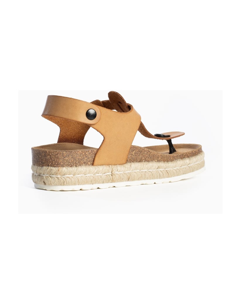 Bayton-Mules-Celiane-schwarz
