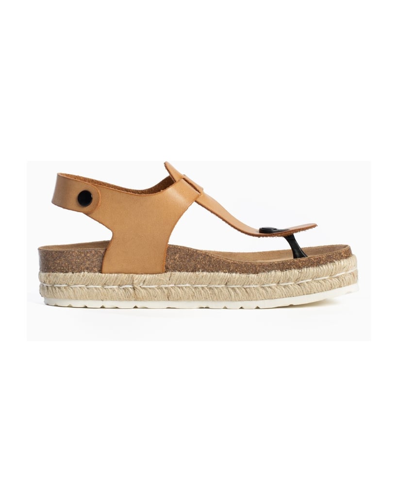 Bayton-Mules-Celiane-schwarz
