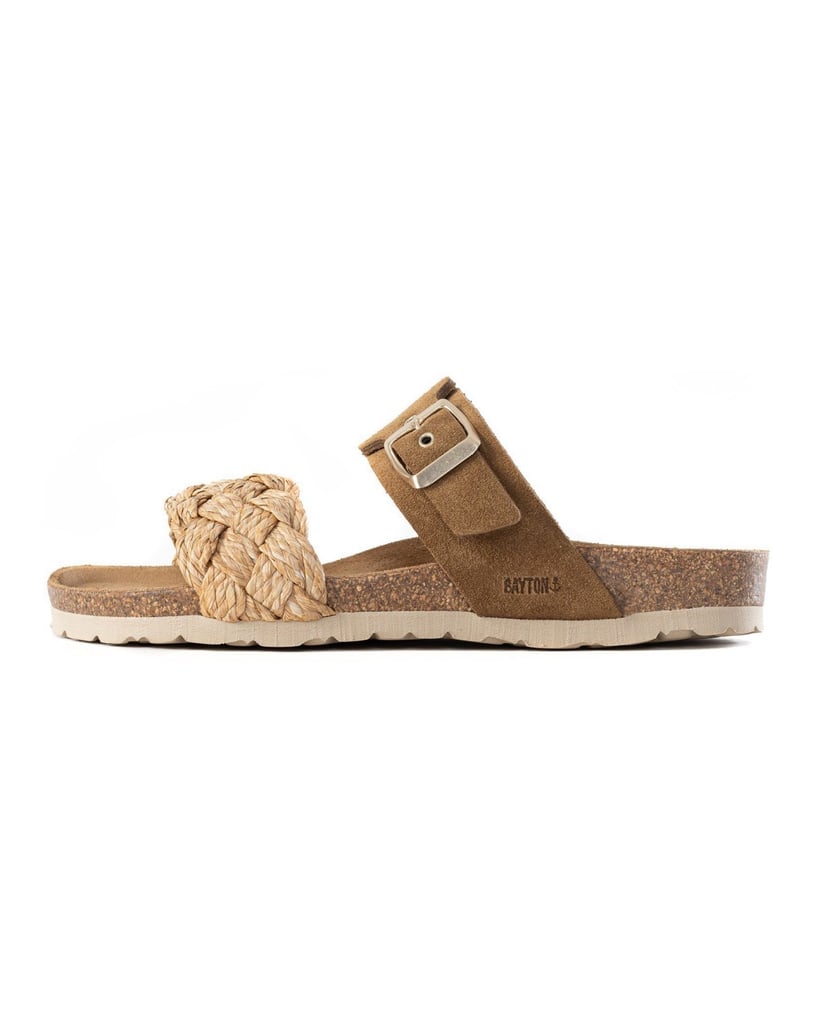 Bayton-Carina-mules-camel-