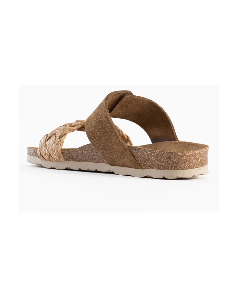 Bayton-Carina-mules-camel-