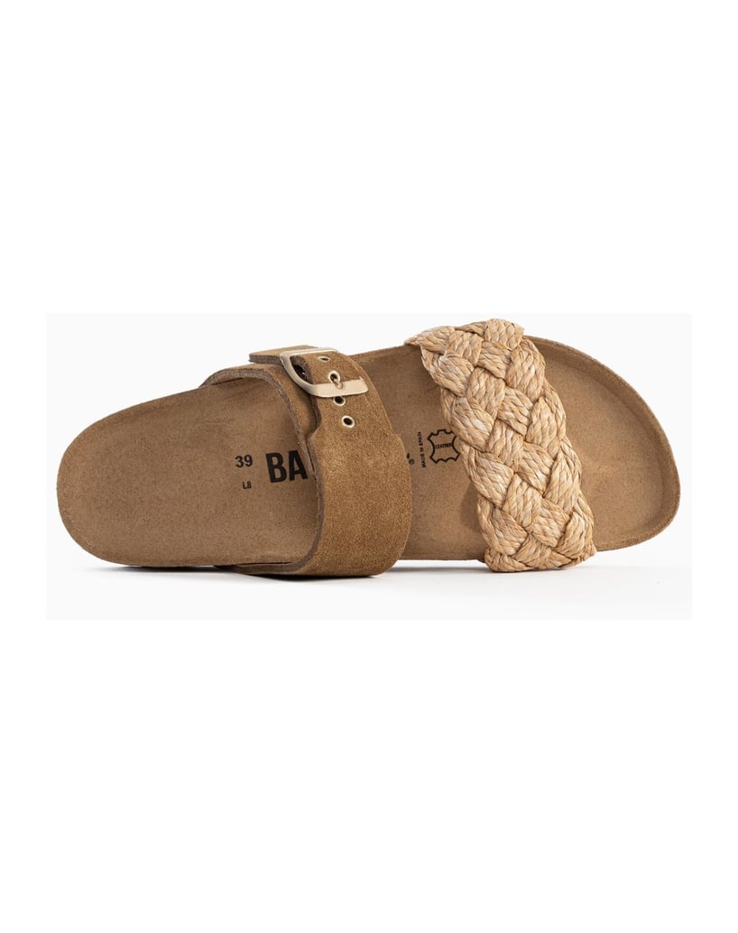 Bayton-Carina-mules-camel-