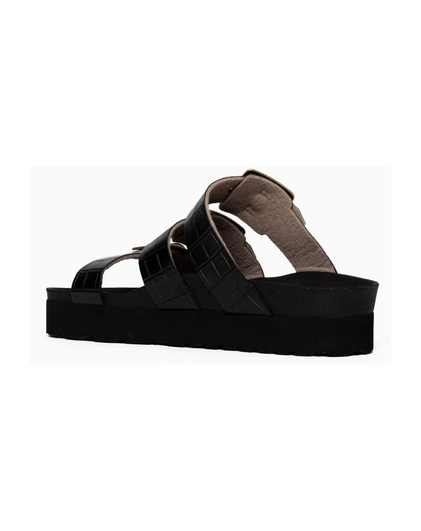 Bayton-Mules-Castelo-schwarz