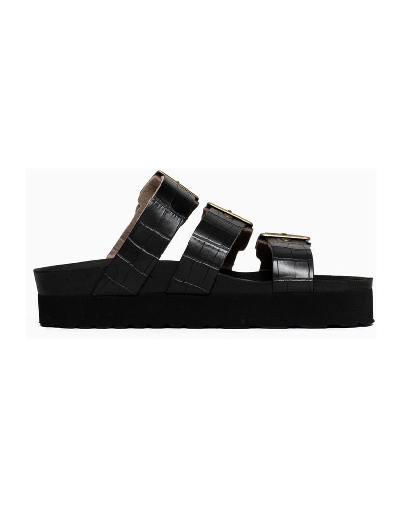 Bayton-Mules-Castelo-schwarz