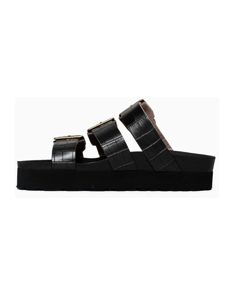 Bayton-Mules-Castelo-schwarz