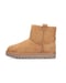 braun