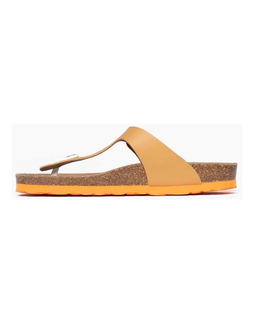 Bayton-Mercure-mules-schwarz