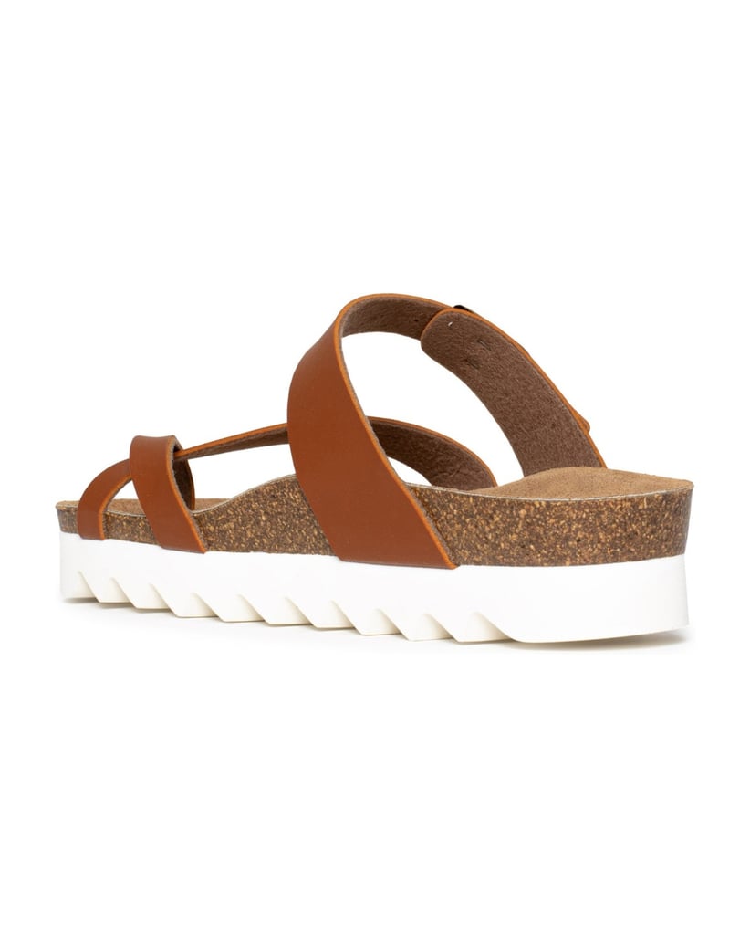 Bayton-ANDROMAC-gold