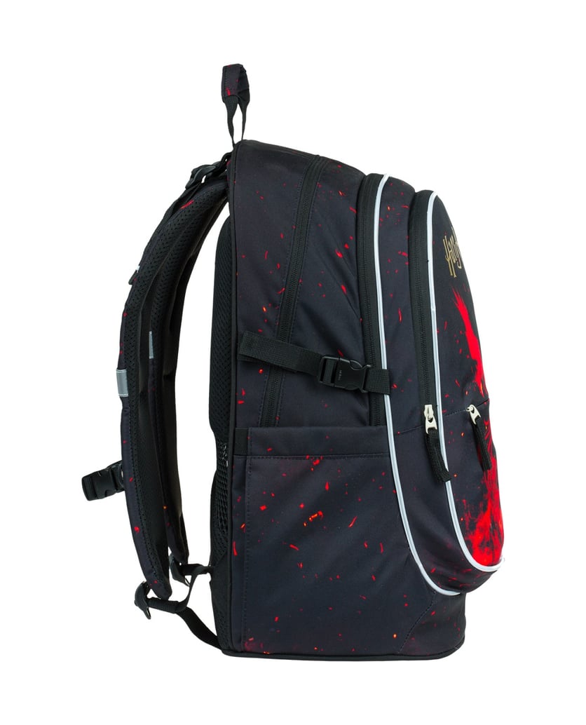 Baagl-Schulrucksack-Core-Harry-Potter-Phönix-schwarz