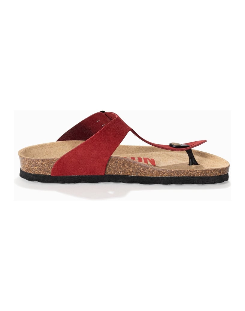 Bayton-MERCURE-rot