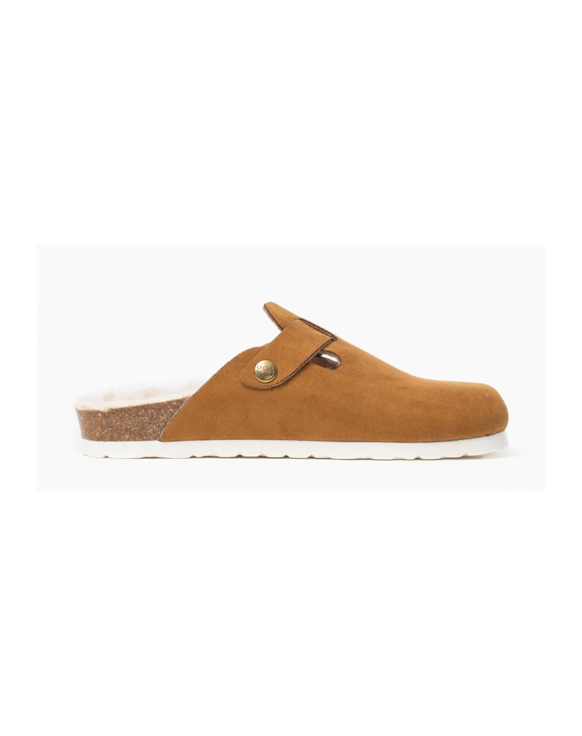 Bayton-KIRALY-camel-